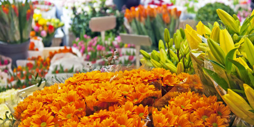 The Burnhams Flower Show & Carnival